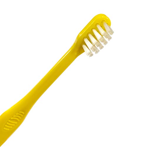 Pet Republique Enzymatic Dog Toothpaste Kit with Handle Toothbrushes Cats and Dogs Dental Cleaning Kit - 3.5 oz Beef Flavor Toothpaste, 3 Mini Handle Toothbrushes, 1 Silicon Finger Toothbrush
