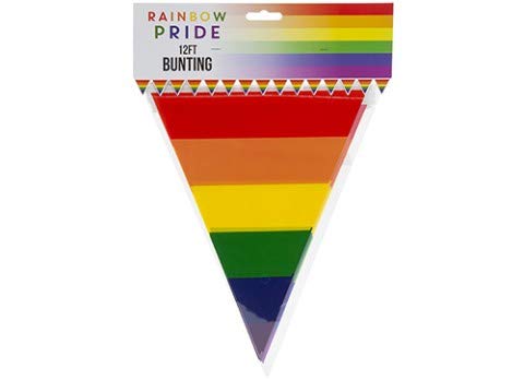 Pride Rainbow Striped Bunting Triangle Bunting 12 foot Indoor or Outdoor Parties Floats Stalls Bright Colourful