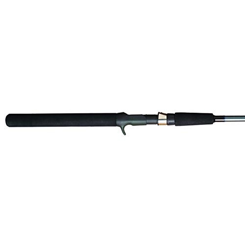 Shimano FXC 2 Piece Casting Rod (7-Feet, Medium)