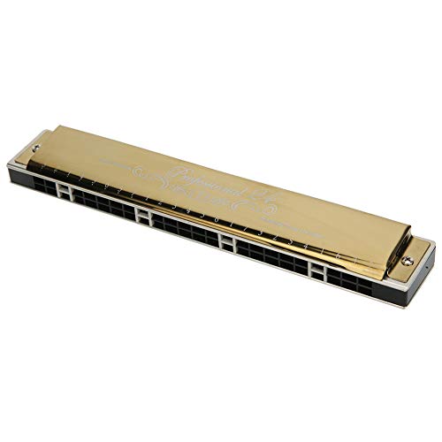 24 Holes Tremolo Harmonica Mouth Organ with Case for Adult Students Beginner (Gold E Key) Playing Musical Instruments