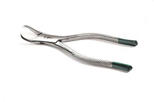 Premium German Dental Tooth Extracting Forceps No 23 Cow Horn Lower Molar Dental Instruments