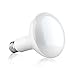 LED Light Bulb BR30 - Soft White 3000K - 9W Bulbs