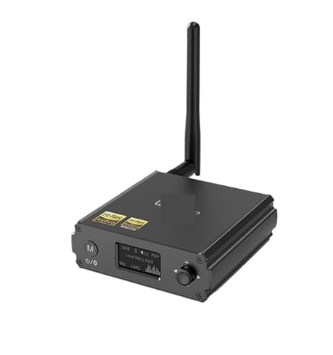 DS220 Bluetooth Receiver ES9018K2M DAC USB C HiFi Audio Decoder Bluetooth 5.1 QCC5125 LDAC APTX-HD 24Bit Amplifier(with EU Plug)