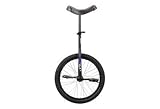 Sun 20 Inch Classic Black Unicycle