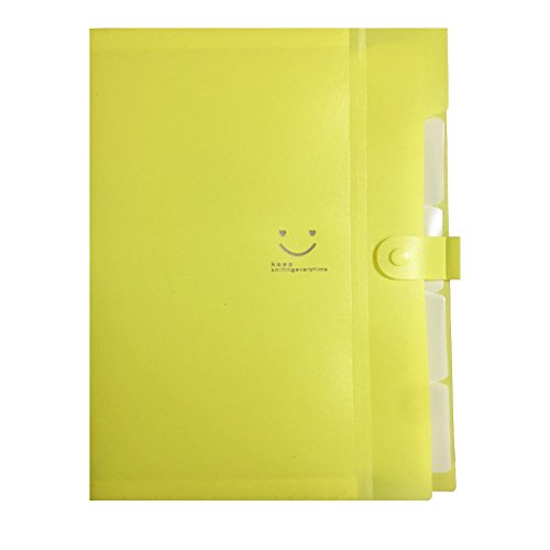 Expanding Files Box Accordion Folder - 5 Pockets Plastic Accordian File Organizer A4 Letter Size Snap Closure Paper Organize Bag and Labels Poly Expanding File