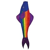 In the Breeze Rainbow Fishy Trout 48 Inch Windsock - Fun Fish Hanging Decoration - UV Resistant Material for Long Lasting Bright Colors