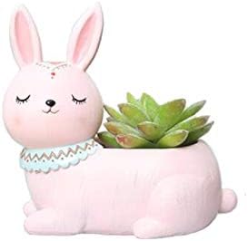 Pink Rabbit Succulent Planter Pots for Office House Balcony Landscape Creative Decorative Flower Pots (1, Pink Rabbit)