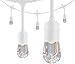 Enbrighten Classic Warm White String Lights, 48ft White Cord, 24 Shatterproof Acrylic Bulbs, Weatherproof, Outdoor String Lights, 35608