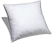 BlowOut Bedding 24