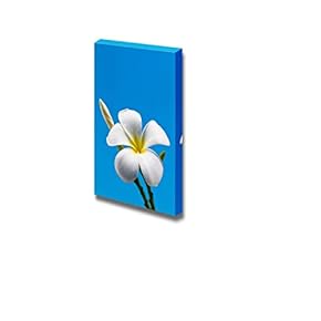 Canvas Prints Wall Art - White Plumeria on a Blue Background Close Up | Modern Wall Decor/Home Decoration Stretched Gallery Canvas Wrap Giclee Print. Ready to Hang - 12" x 18"