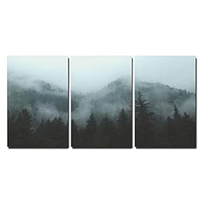 3 Piece Canvas Wall Art - Mountain Forest in Fog - Modern Home Art Stretched and Framed Ready to Hang - 16"x24"x3 Panels