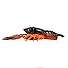Tackle HD 8-Pack Hi-Def Craw Bass Lures, 3D Scanned from Live Crawfish, 3-Inch Soft Plastic Crawfish Lures for Bass Fishing, Rubber Fishing Lures for Freshwater, Brown & Orange