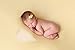 PoseBaby Pro Newborn Photography Butterfly Poser | 2 Piece Wedge & Butterfly Positioner for Posing Baby | Professional Posing Bag | Baby Photo Prop & Pose Pillow | Pre-Filled Ready to Use