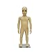 Realistic 1-2 Year Old Kids Toddler Child Plastic Full Body Mannequin with Base and Wig #KD-1