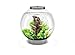 biOrb CLASSIC 30 Aquarium with LED - 8 gallon, Silver
