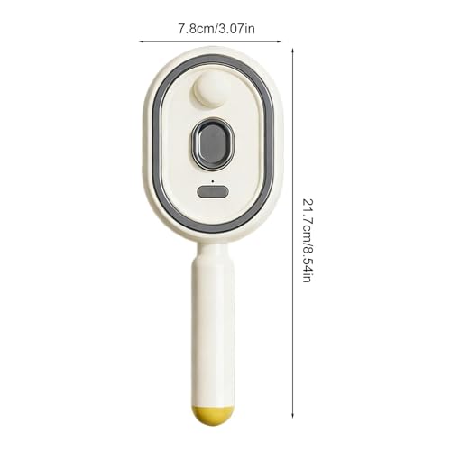 Electric Steam Brush for Hair, Detangling Steam Brushes with Oil, 2-in-1 Misting Hair Brush with Water Spray, Reduce Frizz, Nourishes Hairs, Anti-Static