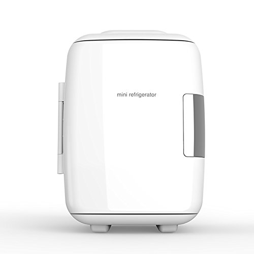 DULPLAY 4L Mini fridge,Electric Cooler and warmer (4 liter 6 can) And DC portable Thermoelectric system For home, Office and car-B 19.5x26.3x27.5cm(8x10x11inch)