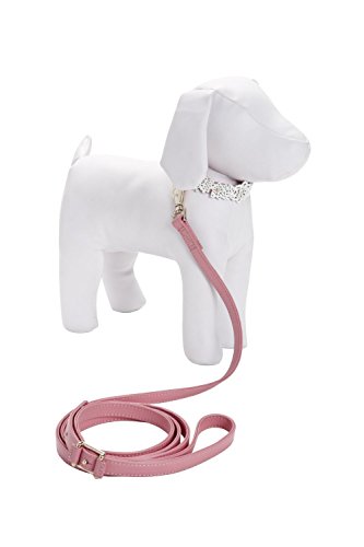 Oscar de la Renta Pink Leather Pet Collar & Leash Set (Medium)