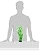 CNZ Aquarium Fish Tank Decoration Ornament, Artificial Plastic Plant, 14
