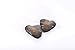 SEASAN Freshwater Round Oyster Pearl Cultured Oysters with Pearls Inside 10 PC (7-8mm)