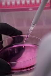 GRADIUM Universal Filter Pipette Tips | Racked