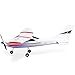 New F949 3Ch RC Airplane Fixed Wing Plane Outdoor toys with 2.4G Transmitter, Extra Battery and Propeller