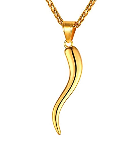WDIYIEETN Fashion Jewelry Stainless Steel Italian Horn Charm Lucky Talisman Couple Pendant Necklace with 24 Inches Chain (Gold) at Amazon