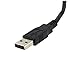 StarTech.com USB to DVI Adapter - 1920x1200 - External Video & Graphics Card - Dual Monitor Display Adapter - Supports Windows (USB2DVIE3) Black