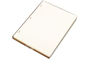 Wilson Jones Looseleaf Minute Book Ledger Sheets, Ivory, 11"" x 8-1/2, 100 sheets/box (901-10)