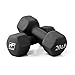 RitFit Set of Two Neoprene Dumbbells 20lb Black