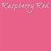 Entice Raspberry Red Long Lasting Lip Stain with Natural & Organic Ingredients