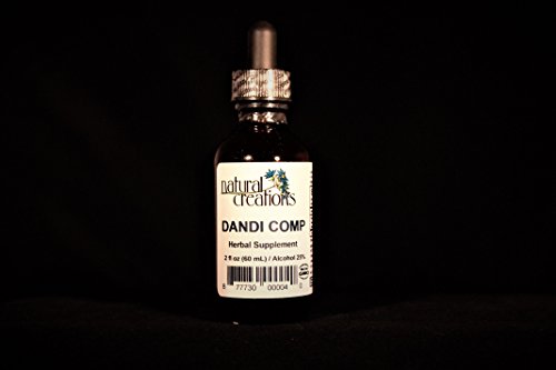 Dandi Comp