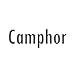 Ola Prima Oil of Youth Camphor Essential Oil - Therapeutic Grade for Aromatherapy, Diffuser, Lymphatic Massage, Hair, Skin - Dropper - 4 fl Ounce