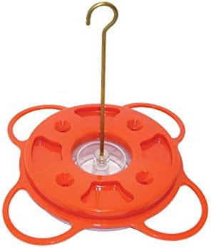 Birds Choice 1009 Oriole Fest Oriole Feeder 12 Ounce Orange Buy