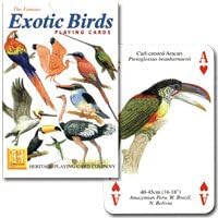 P0014 Trump exotic bird (japan import) by Nichiyu