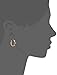 Amazon Collection 18k Yellow Gold Plated Sterling Silver Genuine African Amethyst Hoop Earrings