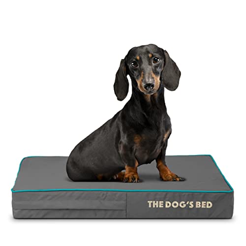 The Dog’s Bed Cover – Replacement Cover, Grey with Blue Trim, Small, 10cm