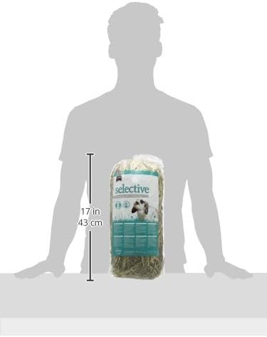Supreme Science Selective Timothy Hay 400g, Transparent, 400 g (Pack of 1) - Image 5