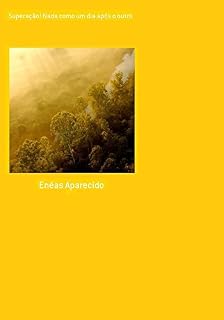Livro Superação! nada como um dia após o outro.