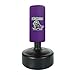 Century Kids Punching Bag Lil' Dragon Wavemaster | Purple Kids Wavemaster | Children Martial Arts Training Bag | 37
