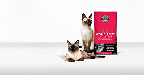 World's Best Cat Litter Clumping Litter Formula for Multiple Cats, 28-Pounds