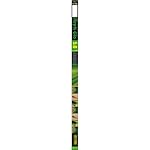 Exo Terra Repti-Glo 5.0 Fluorescent Lamp, 14 Watts, 15 Inches