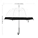 LAVIEVERT Bubble Umbrella Birdcage Clear Umbrella with Black Border