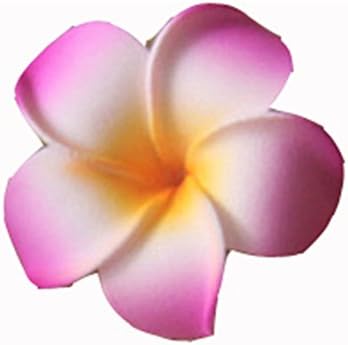 Artificial Flower Fake Wedding Bouquet Plumeria Head Hawaiian Natural Foam 50pcs (pink1)