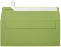 #10 Square Flap Envelopes w/Peel & Press (4 1/8 x 9 1/2) - Avocado Green (50 Qty.) | Business | For Checks, Invoices, Letters & Mailings | Printable | 80lb Text Paper | EX4860-27-50