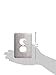 3dRose LLC lsp_154441_6 Tenth Wedding Anniversary Gift Tin Celebrating 10 Years Together Tenth Anniversaries Ten Years 2 Plug Outlet Cover