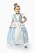 Little Adventures Princess Cinderella Dress Up Costume Large (Age 5-7) - Machine Washable Child Pretend Play and Party Dress with No Glitter