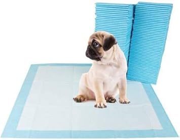 Buy PH TIDY Disposable Pet Training 