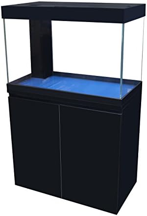 Cad Lights 45 Gallon Zen Starfire glass Aquarium package with built in LED lights