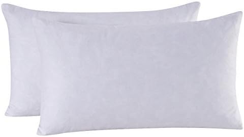 Amazon Com Homesjun Set Of 2 95 Feather 5 Down Decorative